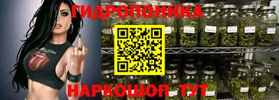 мяу мяу мука Кингисепп