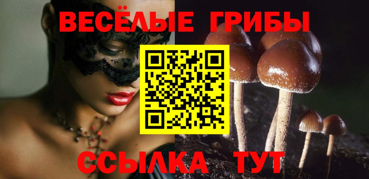 Галлюциногенные грибы Cubensis  Галлюциногенные грибы Psilocybe  Вход с VPN  Нарьян-Мар 